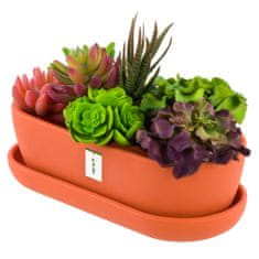 botle Keramický květináč moderní barvy Matte Orange 27,5 cm Oválný na kaktusy