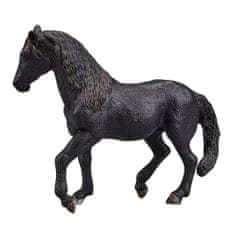 Mojo Andaluský kůň černý