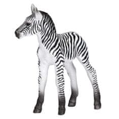 Mojo Zebra mládě