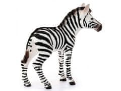 sarcia.eu Schleich Wild Life - Mladá zebra, figurka pro děti 3+ 