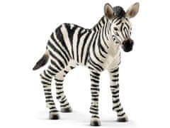 sarcia.eu Schleich Wild Life - Mladá zebra, figurka pro děti 3+ 