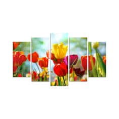 ASIR GROUP ASIR Obraz na MDF 5ks TULIPÁNY 20 x 60 cm (1) 20 x 50 cm (2) 20 x 40 cm (2)