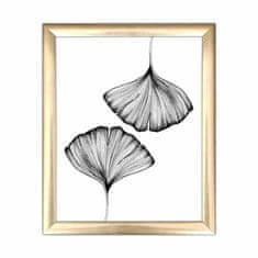 ASIR GROUP ASIR Obraz na MDF s rámem GINKGO BILOBA 23,5 x 28,5 cm