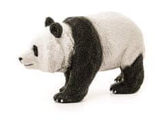 sarcia.eu Schleich Wild Life - Panda velká - Samec, figurka pro děti 3+ 