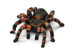 sarcia.eu Schleich Wild Life - Pavouk Tarantule, ptáček, figurka pro děti 3+ 