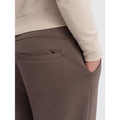 OMBRE Pánské tepláky s prošíváním a zipem na nohavici V4 OM-PASK-0147 hnědé MDN124164 S