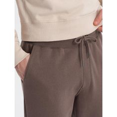 OMBRE Pánské tepláky s prošíváním a zipem na nohavici V4 OM-PASK-0147 hnědé MDN124164 S
