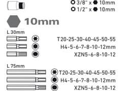 Extol Craft Hroty IMBUS-TORX-XZN, sada 40ks, pro ráčny 3/8", 1/2", CrV