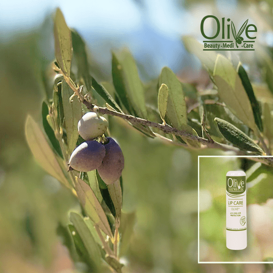 Minoan Life OLIVE Balzám na rty 4,8 g