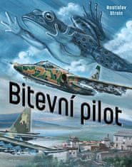 Bitevní pilot