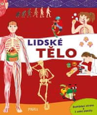 Lidské tělo