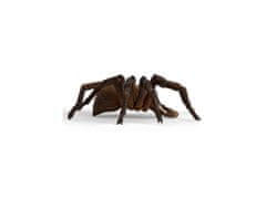 sarcia.eu Schleich Harry Potter - Aragog Spider, figurka pro děti 6+ 