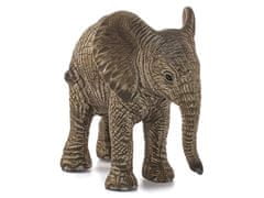 sarcia.eu Schleich Wild Life - Mladý slon africký, figurka pro děti 3+ 