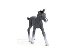 sarcia.eu Schleich Horse Club - Trakénské hříbě, figurka koně pro děti 5+ 