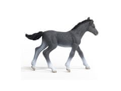 sarcia.eu Schleich Horse Club - Trakénské hříbě, figurka koně pro děti 5+ 