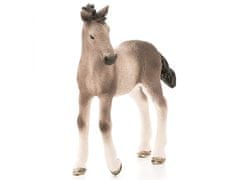 sarcia.eu Schleich Horse Club - Hříbě koně andaluského plemene, figurka koně pro děti 5+ 