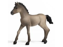 sarcia.eu Schleich Horse Club - Hříbě koně plemene Criollo Definitivo, figurka koně pro děti 5+ 