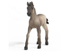 sarcia.eu Schleich Horse Club - Hříbě koně plemene Criollo Definitivo, figurka koně pro děti 5+ 