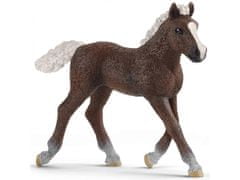 sarcia.eu Schleich Farm World - Hříbě koně, plemeno Schwarzwald, figurka pro děti 3+ 