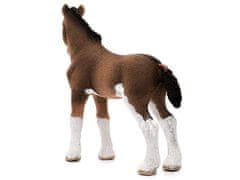 sarcia.eu Schleich Farm World - Hříbě koně plemene Clydesdale, figurka pro děti 3+ 