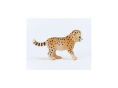 sarcia.eu Schleich Wild Life - Mladý gepard, figurka pro děti 3+ 