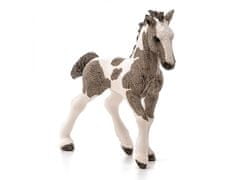 sarcia.eu Schleich Farm World - Tinker hříbě koně, figurka pro děti 3+ 