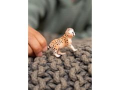 sarcia.eu Schleich Wild Life - Mladý gepard, figurka pro děti 3+ 