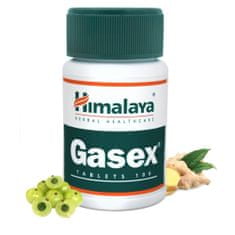 Himalaya gasex 100 tablet BI5658