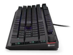 Endorfy herní klávesnice Thock Red / USB / red sw. / drátová / mech. / US / / PBT double-shot keycaps / černá RGB