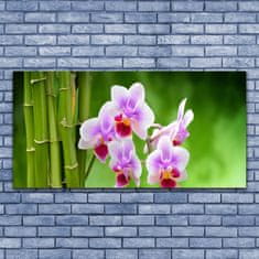 tulup.cz Obraz na skle Bambus Orchidej Květiny Zen 140x70 cm 4 Přívěsky