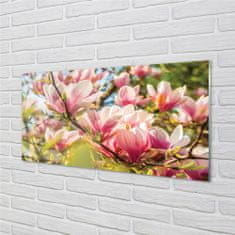 tulup.cz akrylový obraz růžová magnolie 125x50 cm 2 Přívěsky