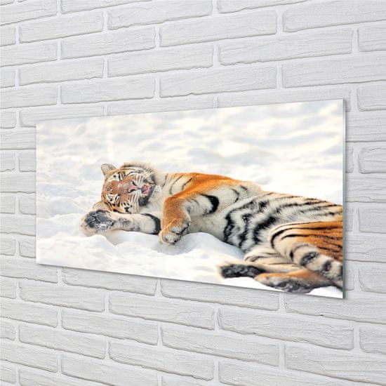 tulup.cz Skleněný panel Tiger winter