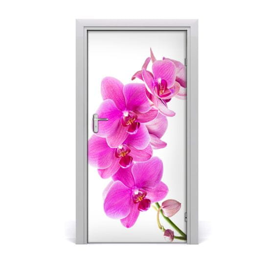 tulup.cz Fototapeta samolepící Růžová orchidej