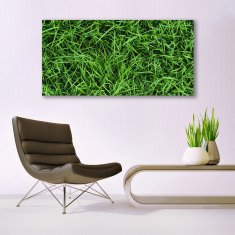 tulup.cz Obraz na skle Tráva Trávník 140x70 cm 4 Přívěsky