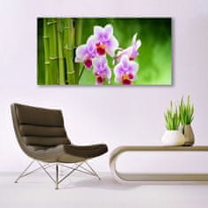 tulup.cz Obraz na skle Bambus Orchidej Květiny Zen 140x70 cm 4 Přívěsky