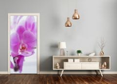 tulup.cz Fototapeta na dveře Růžová orchidej 85x205 cm