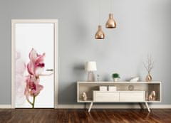 tulup.cz Fototapeta na dveře Růžová orchidej 75x205 cm