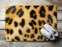 COLORAY.CZ Venkovní rohože před dveře Gepardí skvrny 90x60 cm