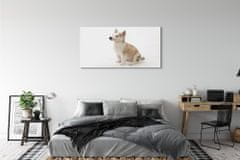 tulup.cz akrylový obraz Sedící malého psa 125x50 cm 2 Přívěsky