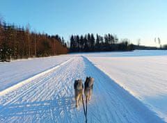 Allegria dětský mushing