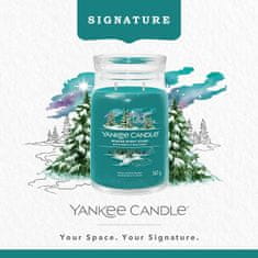 Yankee Candle Vonnásvíčka Signature ve skle velká Winter Night Stars 567g