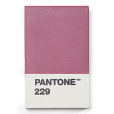 Pantone Pouzdro na vizitky dárkové balení - Aubergine 229