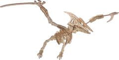 Woodcraft Dřevěné 3D puzzle Pterosaur