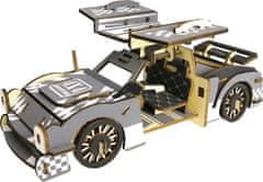 Woodcraft Dřevěné 3D puzzle Sportovní auto