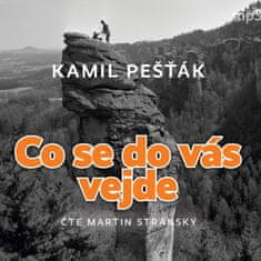 Pešťák Kamil: Co se do vás vejde