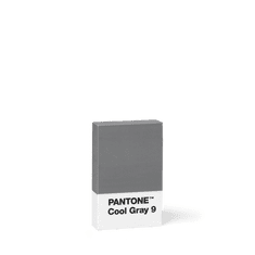 Pantone Mazací Pryž - Cool Gray 9