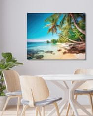 ZUTY Obrazy na stěnu - Palmová pláž u moře 40x50 cm bez rámu a bez vypnutí plátna