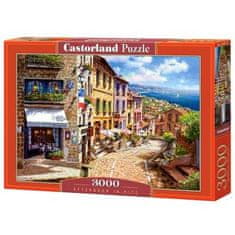 Castorland Puzzle Odpoledne v Nice, 3000 dílků