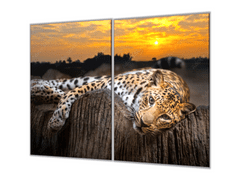 Glasdekor Ochranná deska leopard v západu slunce - Ochranná deska: 50x70cm, Lepení na zeď: S lepením na zeď