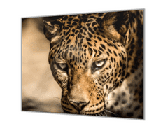 Glasdekor Ochranná deska do kuchyně šelma leopard - Ochranná deska: 55x55cm, Lepení na zeď: S lepením na zeď